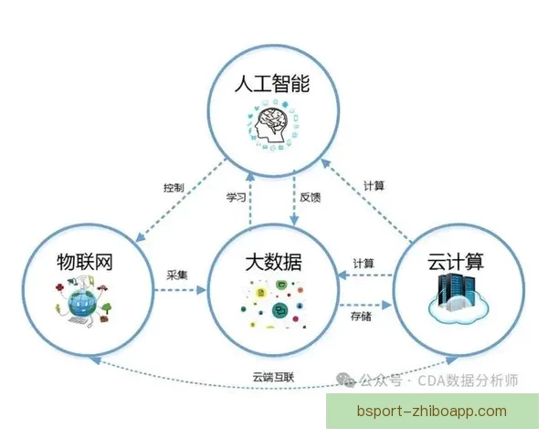 以B体育数据为核心驱动打造智能化体育分析与决策服务新生态平台